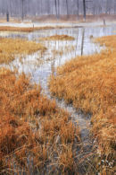 TANGLEWOOD CREEK
